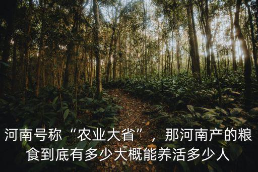 河南號稱“農業(yè)大省”，那河南產的糧食到底有多少大概能養(yǎng)活多少人