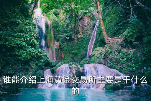 上海黃金交易所，誰能介紹上海黃金交易所主要是干什么的