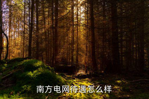 南方電網(wǎng)待遇怎么樣