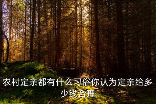 農村定親都有什么習俗你認為定親給多少錢合理