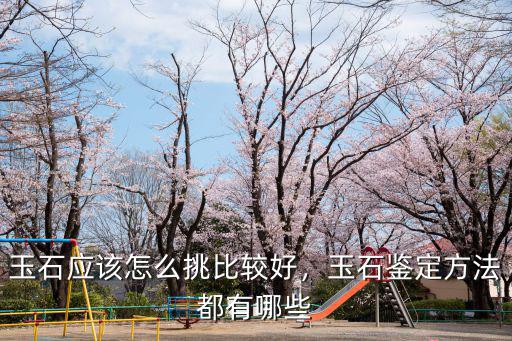 玉石應(yīng)該怎么挑比較好，玉石鑒定方法都有哪些