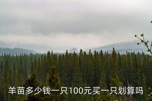 羊苗多少錢一只100元買一只劃算嗎