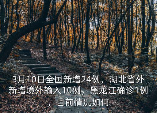 3月10日全國(guó)新增24例，湖北省外新增境外輸入10例，黑龍江確診1例，目前情況如何