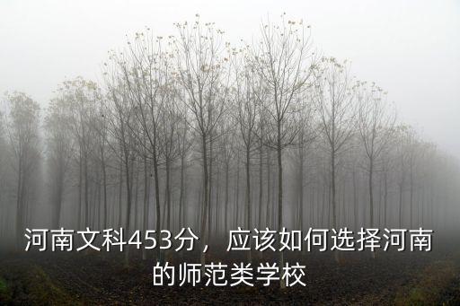 河南文科453分，應該如何選擇河南的師范類學校