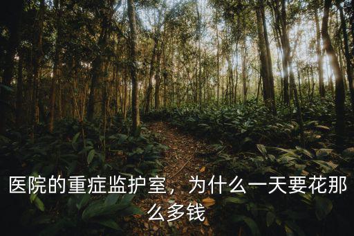 醫院的重癥監護室，為什么一天要花那么多錢