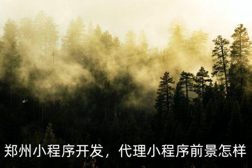 鄭州小程序怎么更新,鄭州小程序開發
