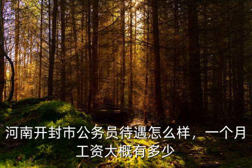 河南開封市公務員待遇怎么樣，一個月工資大概有多少