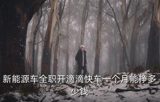 新能源車全職開滴滴快車一個(gè)月能掙多少錢