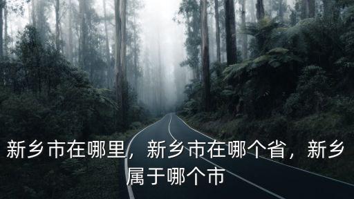 新鄉(xiāng)市在哪里，新鄉(xiāng)市在哪個省，新鄉(xiāng)屬于哪個市