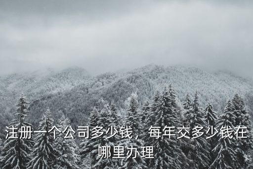 注冊一個公司多少錢，每年交多少錢在哪里辦理