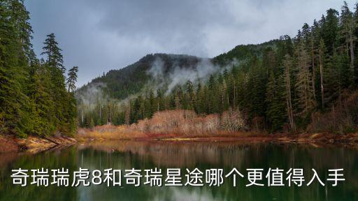 奇瑞瑞虎8和奇瑞星途哪個(gè)更值得入手
