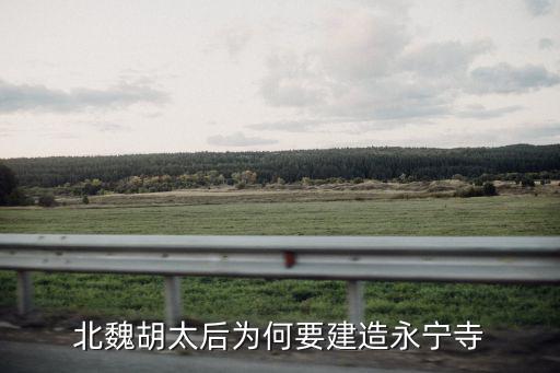 北魏胡太后為何要建造永寧寺