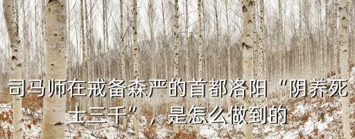 三國志保衛(wèi)洛陽怎么進刷寶區(qū),三國志戰(zhàn)略版洛陽怎么守