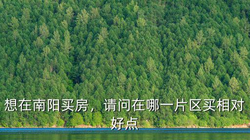 南陽房子買在哪里,或者是南陽買