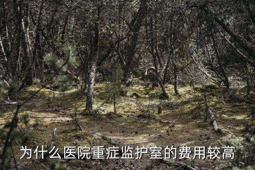 為什么醫院重癥監護室的費用較高