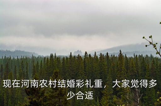 現(xiàn)在河南農(nóng)村結婚彩禮重，大家覺得多少合適