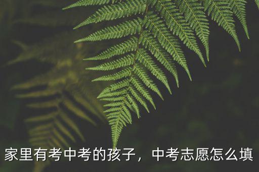 家里有考中考的孩子，中考志愿怎么填