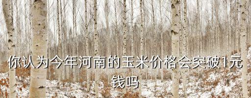 你認為今年河南的玉米價格會突破1元錢嗎