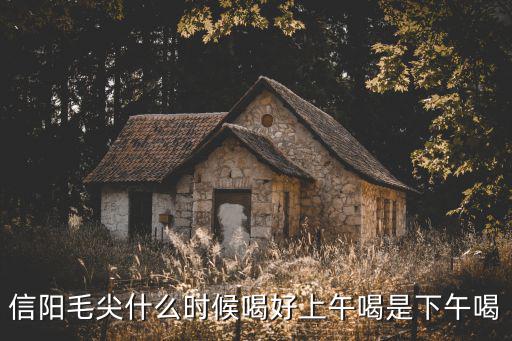 信陽毛尖什么時(shí)候喝好上午喝是下午喝