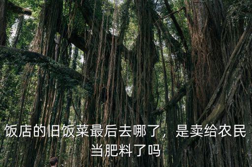 飯店的舊飯菜最后去哪了，是賣給農民當肥料了嗎