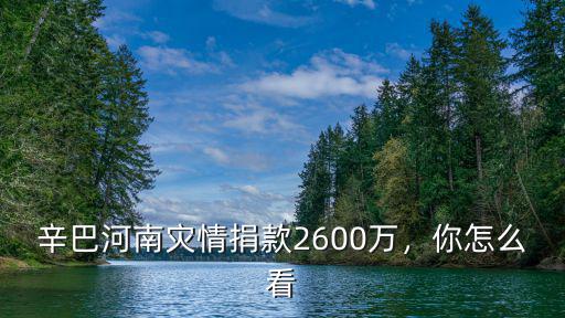 蘋果捐款河南災情多少錢,辛巴河南災情捐款2600萬