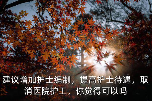 建議增加護士編制，提高護士待遇，取消醫院護工，你覺得可以嗎