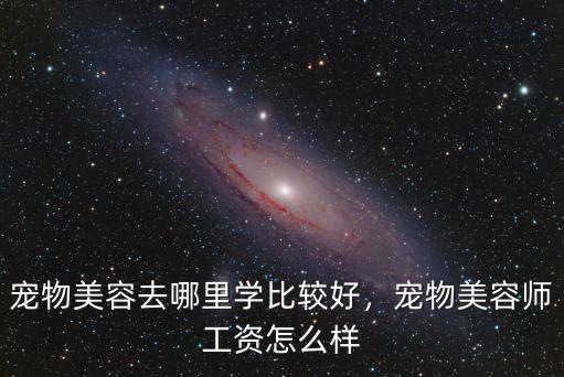 寵物美容去哪里學比較好，寵物美容師工資怎么樣