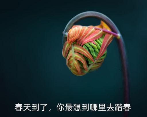春天到了，你最想到哪里去踏春