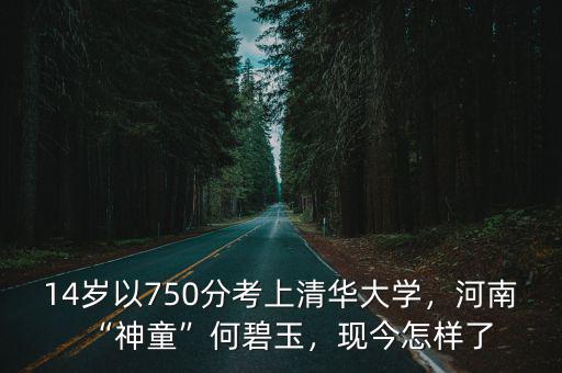 14歲以750分考上清華大學(xué)，河南“神童”何碧玉，現(xiàn)今怎樣了
