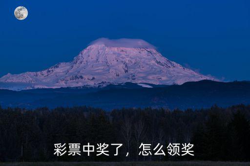 駐馬店彩票中獎怎么領取,彩票雙色球怎么兌獎