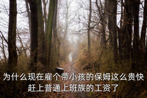 為什么現(xiàn)在雇個帶小孩的保姆這么貴快趕上普通上班族的工資了