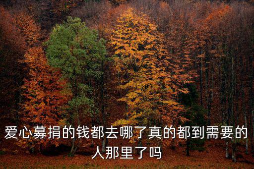 愛心募捐的錢都去哪了真的都到需要的人那里了嗎