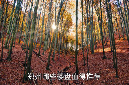 鄭州哪些樓盤值得推薦