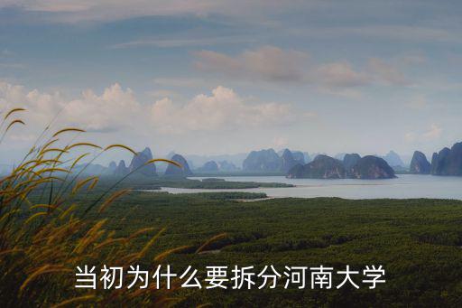 當初為什么要拆分河南大學