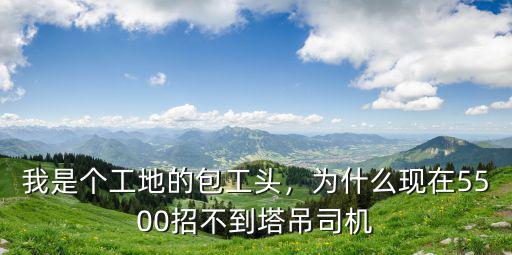 南陽哪里找塔吊司機的嗎,女孩子當塔吊司機好找工作嗎