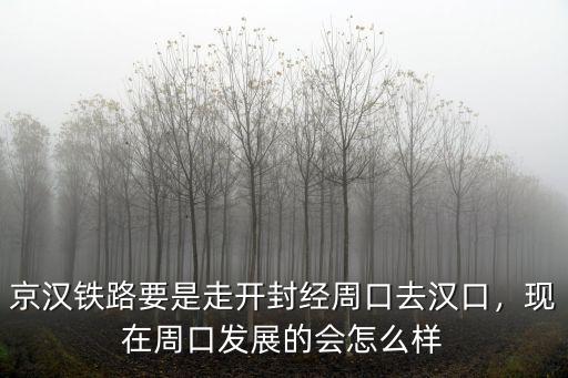 京漢鐵路要是走開封經周口去漢口，現在周口發展的會怎么樣