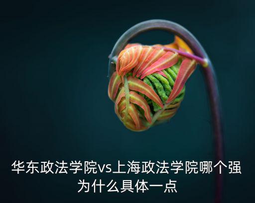華東政法學院vs上海政法學院哪個強為什么具體一點