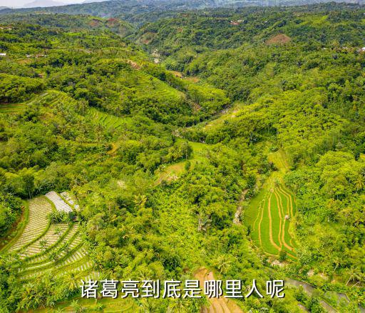 諸葛亮到底是哪里人呢