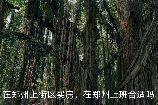 在鄭州上街區(qū)買房，在鄭州上班合適嗎