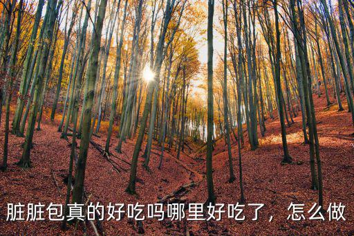 開封哪里的臟臟包好吃,臟臟包真的好吃嗎