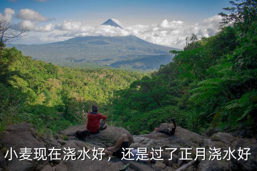 小麥現在澆水好，還是過了正月澆水好