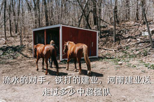 流水的對手，鐵打的建業(yè)，河南建業(yè)送走過多少中超強隊