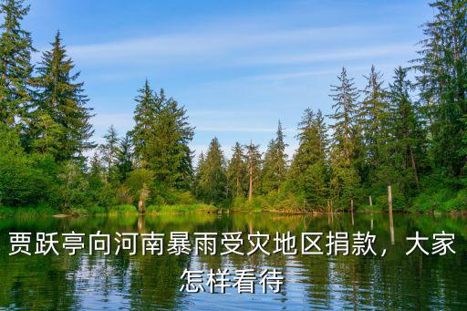 賈躍亭向河南暴雨受災(zāi)地區(qū)捐款，大家怎樣看待