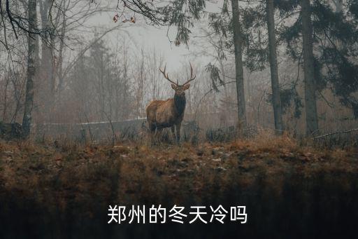 鄭州的冬天冷嗎