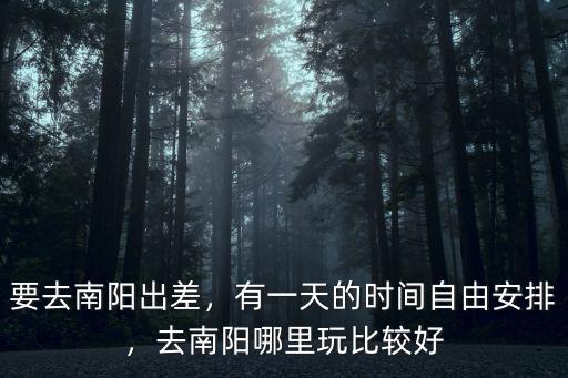 要去南陽出差，有一天的時間自由安排，去南陽哪里玩比較好