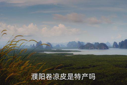 濮陽(yáng)卷涼皮怎么加盟,自己怎么做涼皮呢