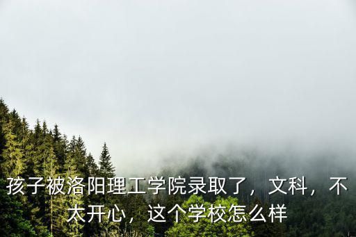 孩子被洛陽理工學院錄取了，文科，不太開心，這個學校怎么樣