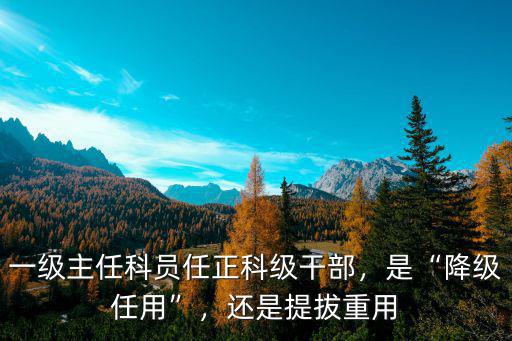 洛陽(yáng)正科級(jí)干部車補(bǔ)是多少,一級(jí)主任科員任正科級(jí)干部