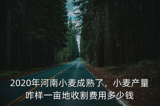 2020年河南小麥成熟了，小麥產量咋樣一畝地收割費用多少錢