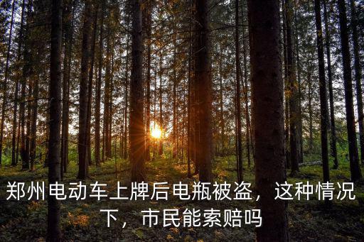 鄭州電動車上牌后電瓶被盜，這種情況下，市民能索賠嗎